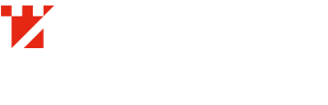 Transilvania FF